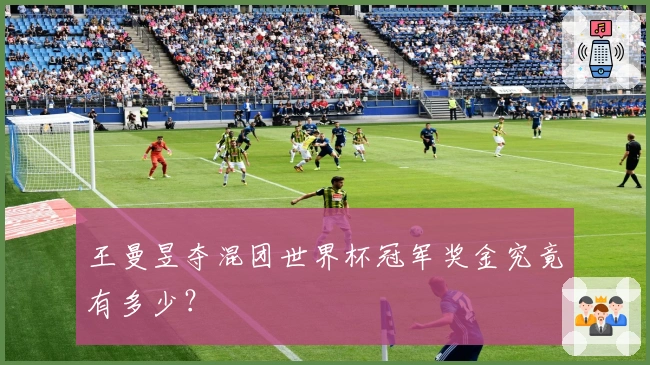 王曼昱夺混团世界杯冠军奖金究竟有多少？