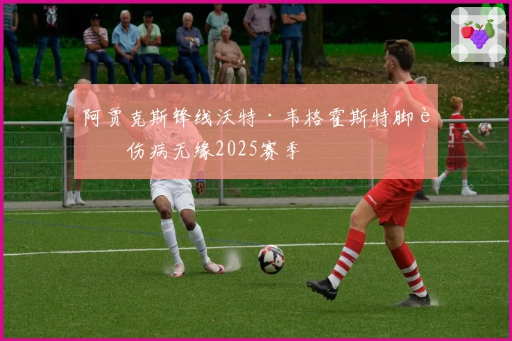阿贾克斯锋线沃特·韦格霍斯特脚踝伤病无缘2025赛季
