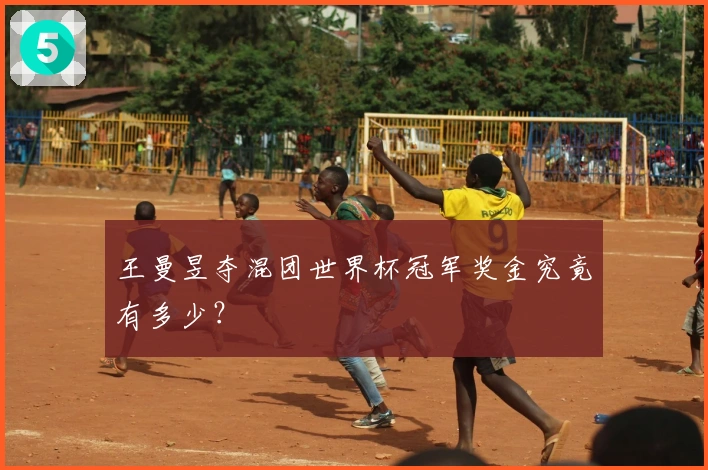 王曼昱夺混团世界杯冠军奖金究竟有多少？
